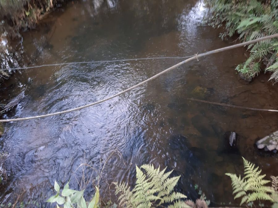 Área em Bocaiuva - Área Rural em Bocaiúva do Sul