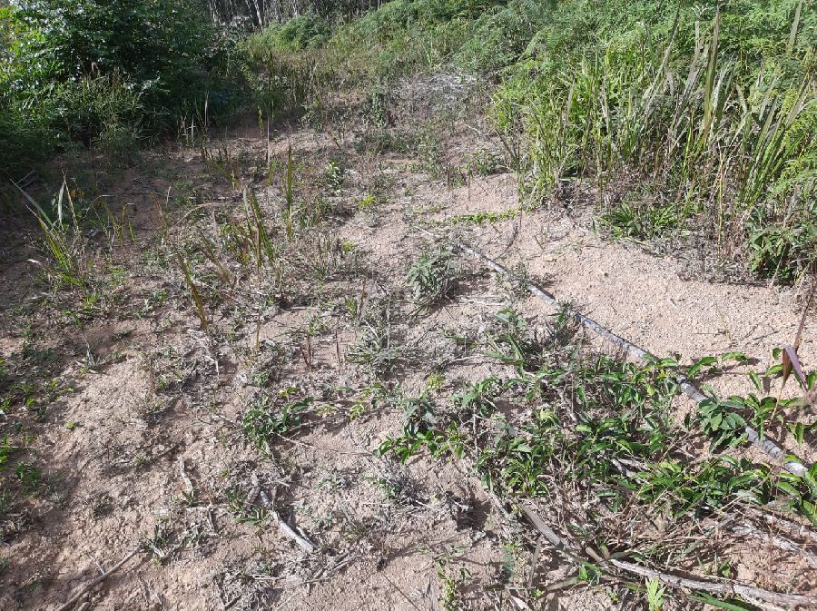 Área em Bocaiuva - Área Rural em Bocaiúva do Sul