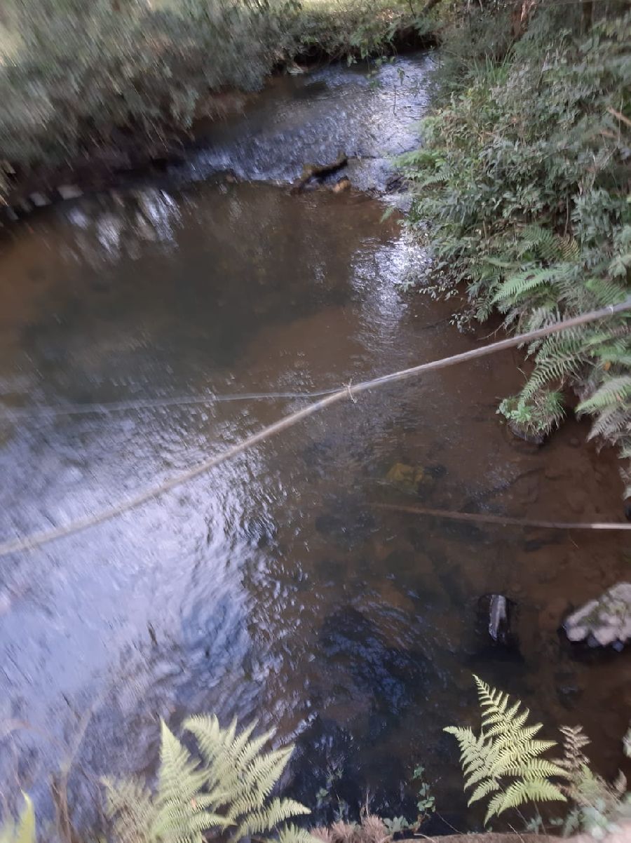 Área em Bocaiuva - Área Rural em Bocaiúva do Sul