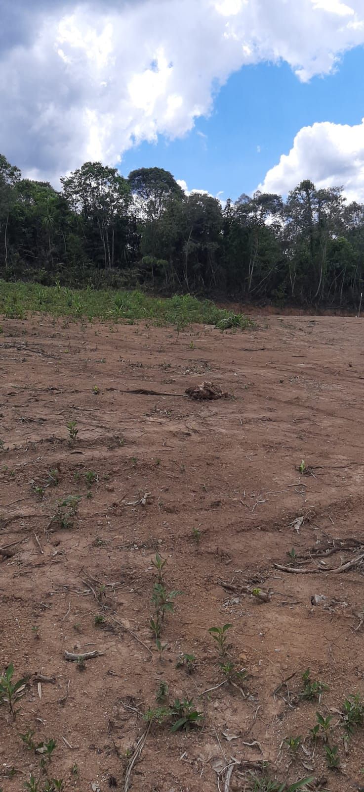 Chácara em Bocaiúva do Sul - Chacara Barra das Cruzes