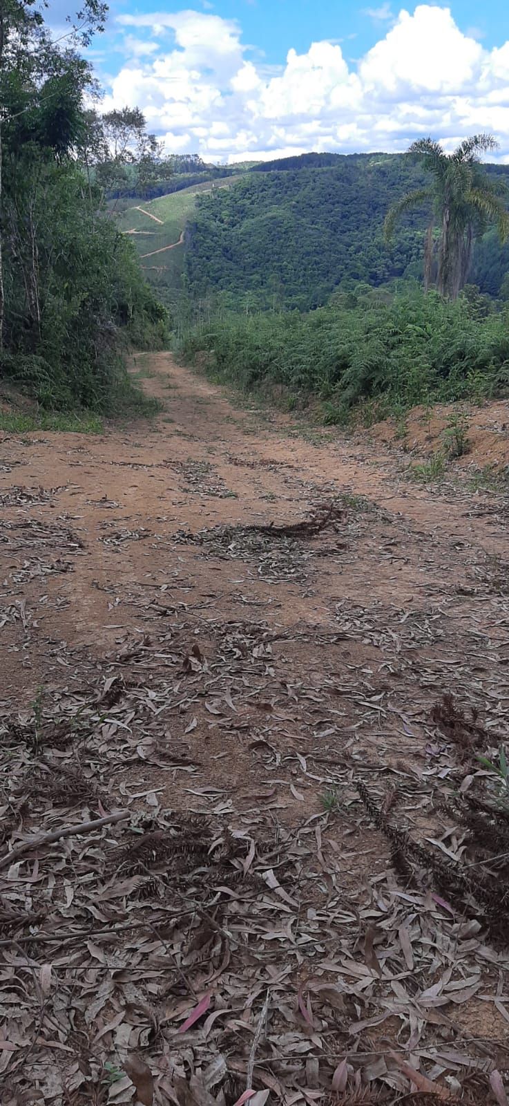 Chácara em Bocaiuva - Chacara Barra das Cruzes