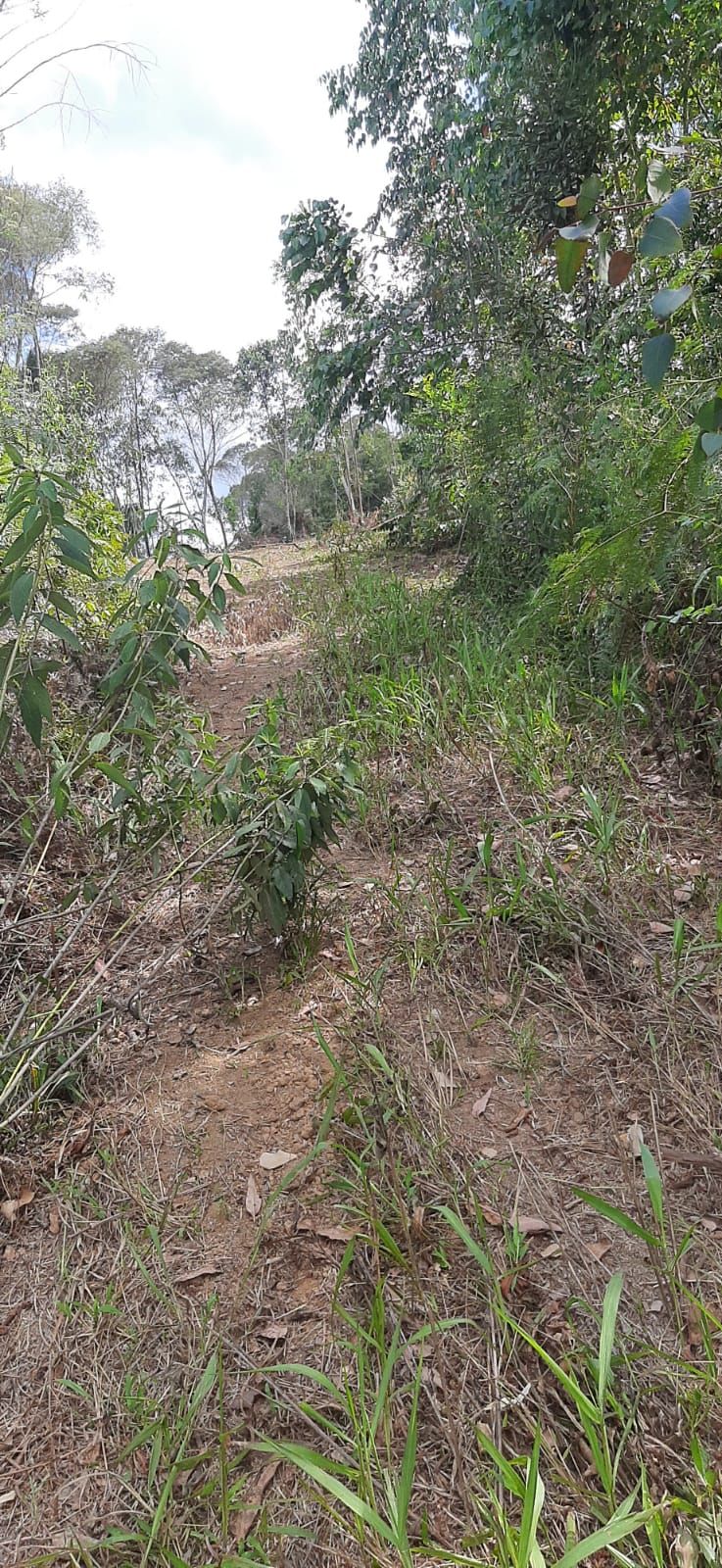 Chácara em Bocaiuva - Chacara Barra das Cruzes