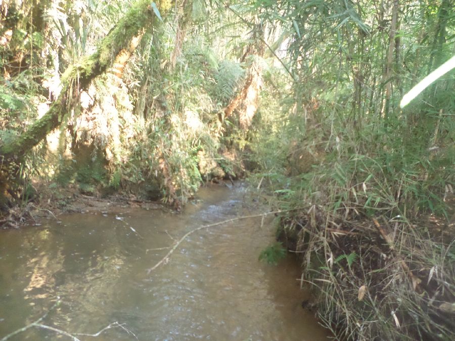 Chácara em Bocaiuva - Chacara Limeirinha Rio Abaixo