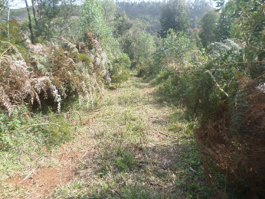 Chácara em Bocaiuva - Chacara Limeirinha Rio Abaixo