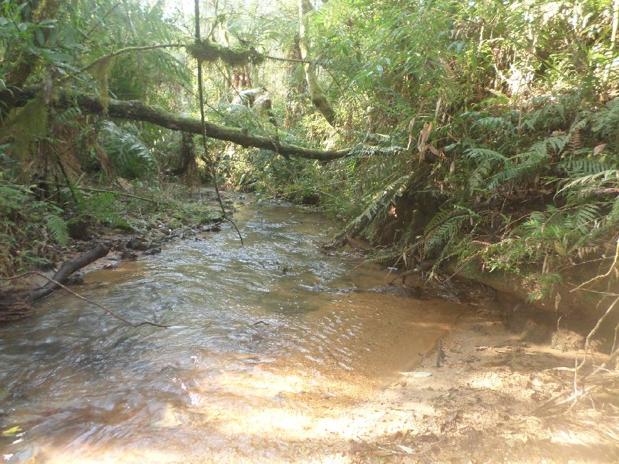 Chácara em Bocaiuva - Chacara Limeirinha Rio Abaixo