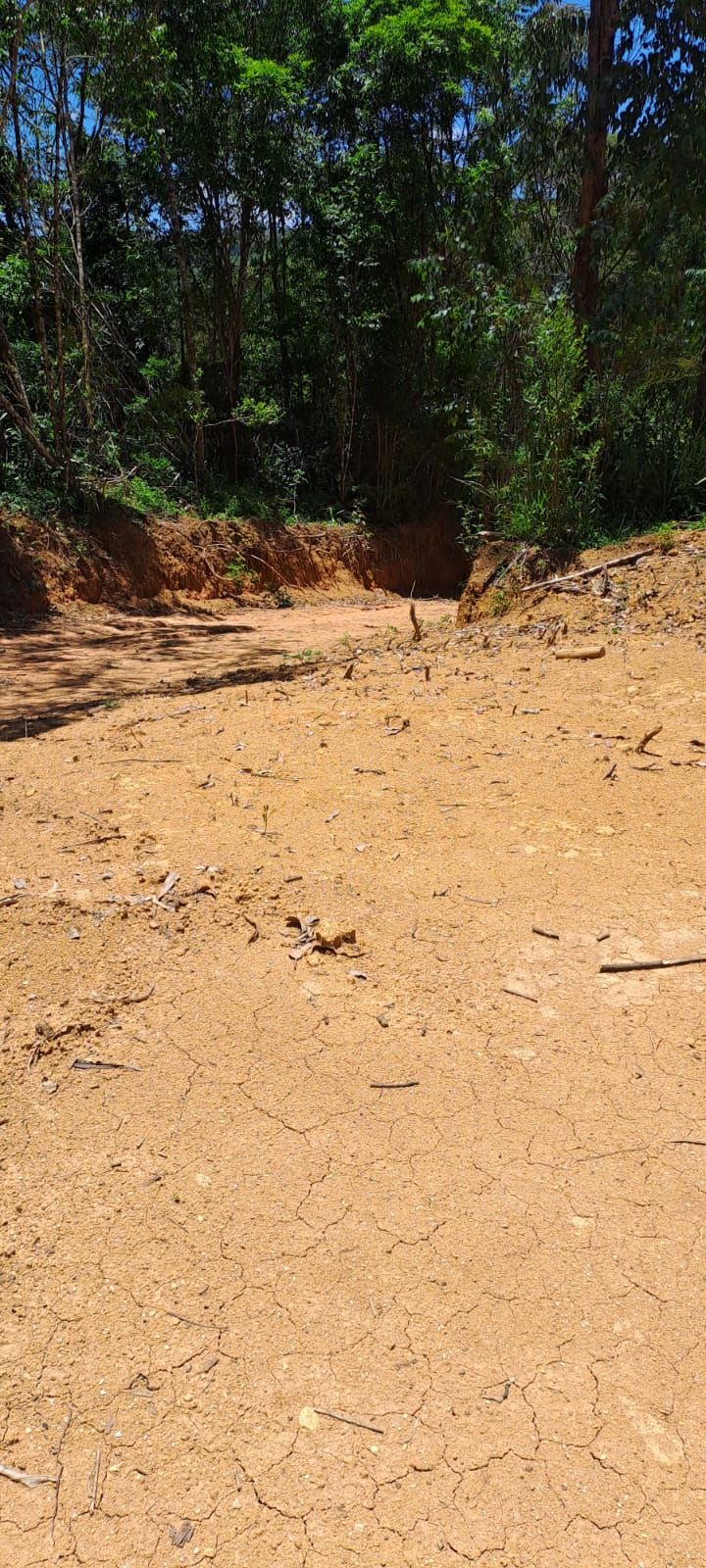 Chácara em Bocaiuva - Chacara Sao Jose 