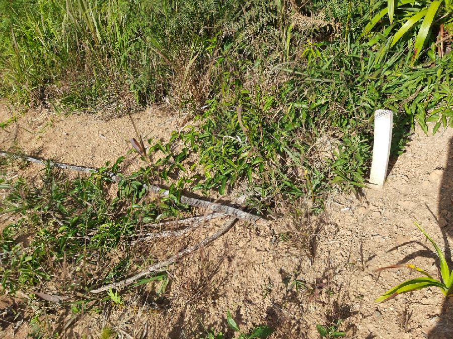 Área em Bocaiuva - Área Rural em Bocaiúva do Sul