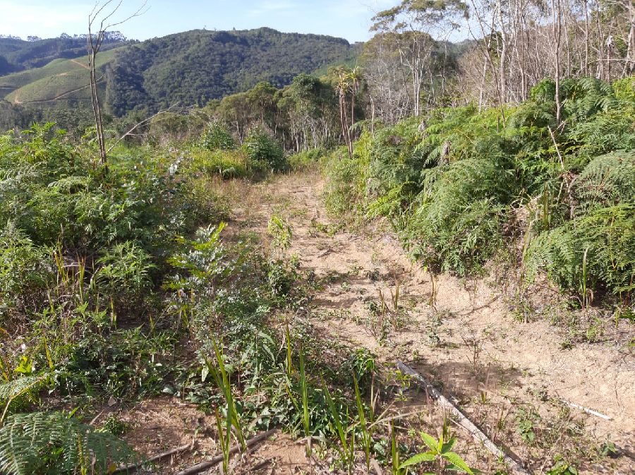 Área em Bocaiuva - Área Rural em Bocaiúva do Sul