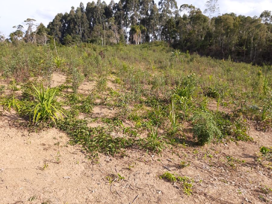 Área em Bocaiuva - Área Rural em Bocaiúva do Sul