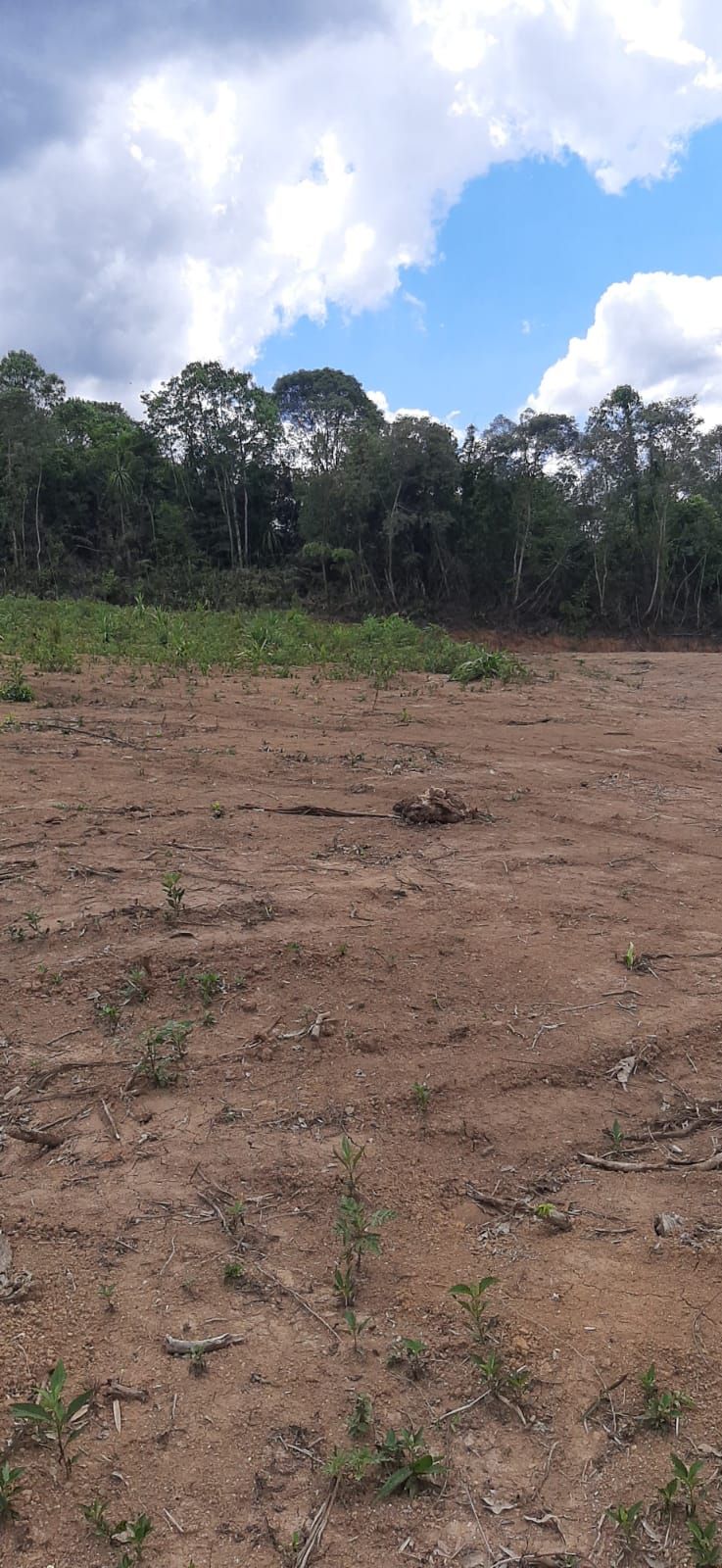 Chácara em Bocaiuva - Chacara Barra das Cruzes