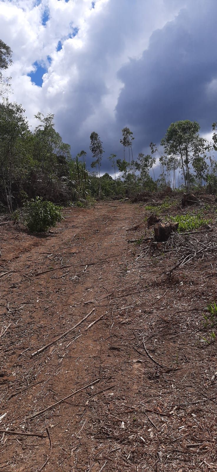 Chácara em Bocaiuva - Chacara Barra das Cruzes