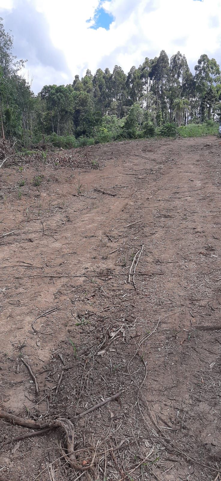 Chácara em Bocaiuva - Chacara Barra das Cruzes