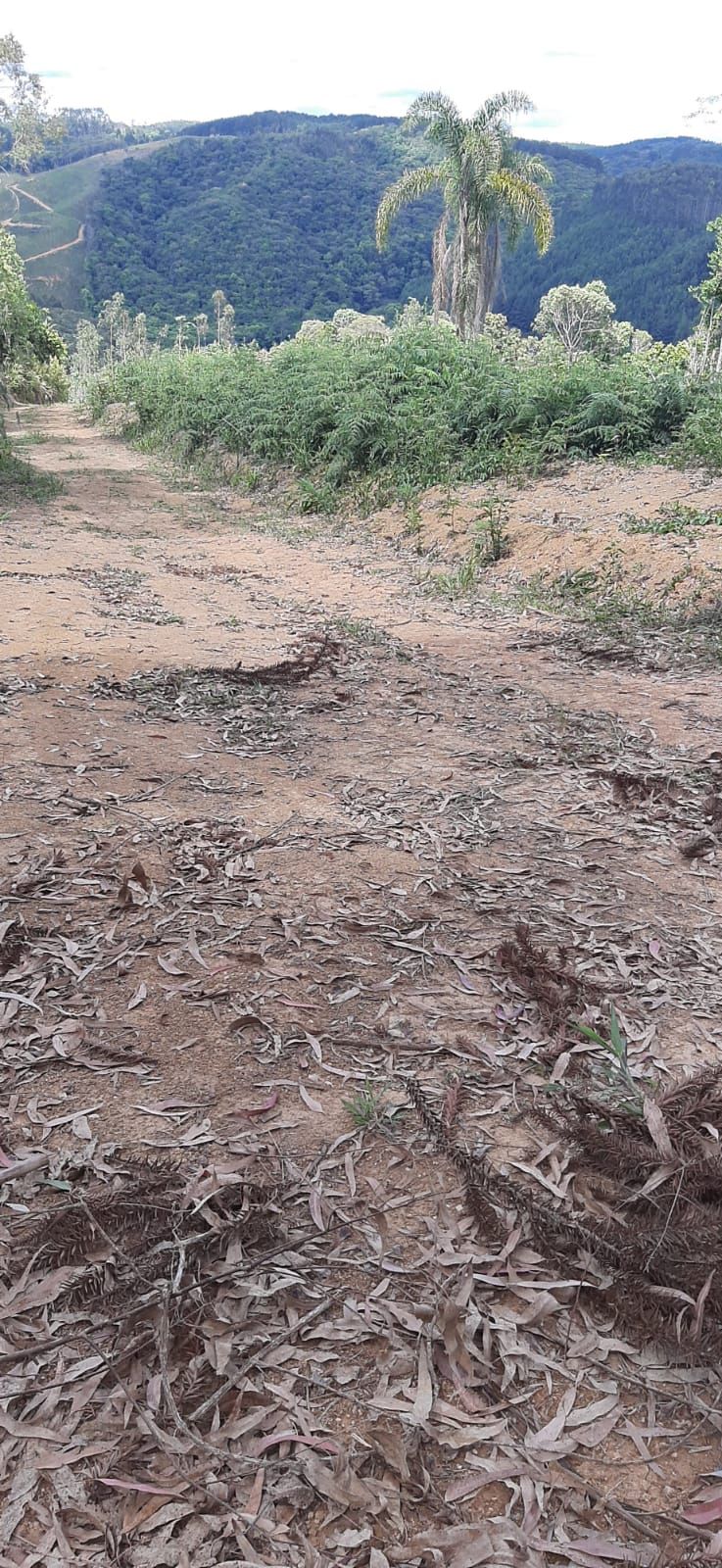 Chácara em Bocaiuva - Chacara Barra das Cruzes