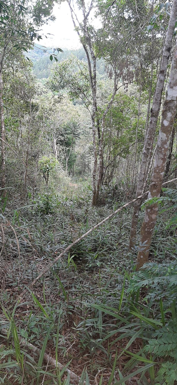 Chácara em Bocaiuva - Chacara Barra das Cruzes