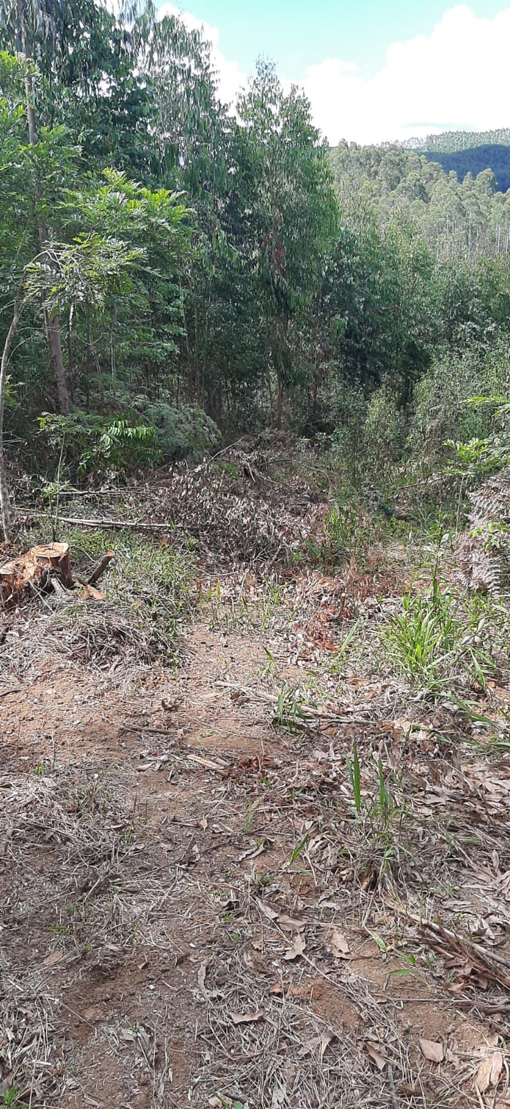 Chácara em Bocaiuva - Chacara Barra das Cruzes