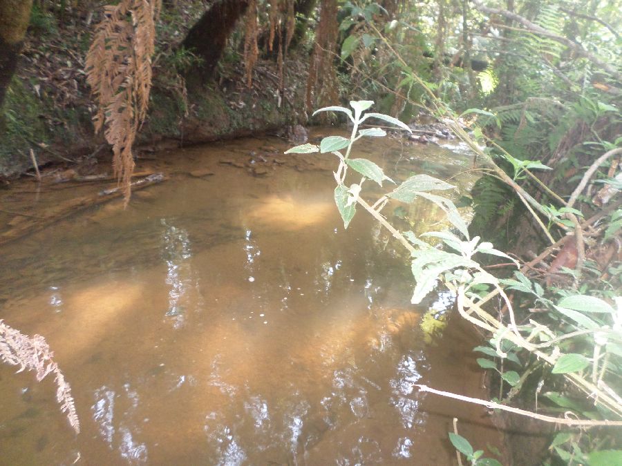 Chácara em Bocaiuva - Chacara Limeirinha Rio Abaixo