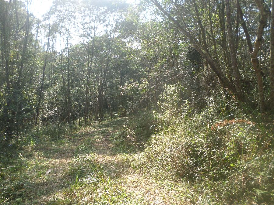 Chácara em Bocaiuva - Chacara Limeirinha Rio Abaixo