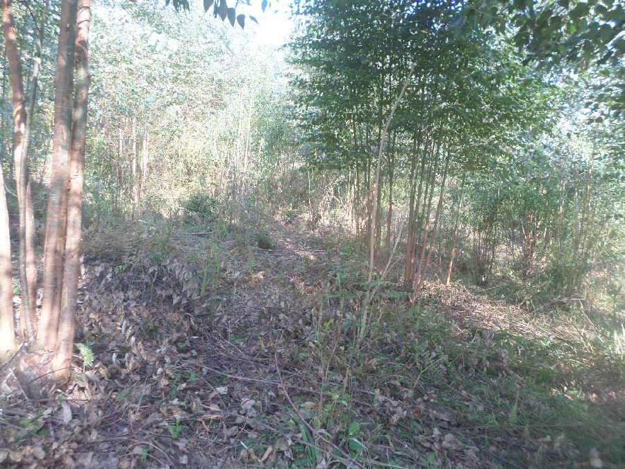 Chácara em Bocaiuva - Chacara Limeirinha Rio Abaixo