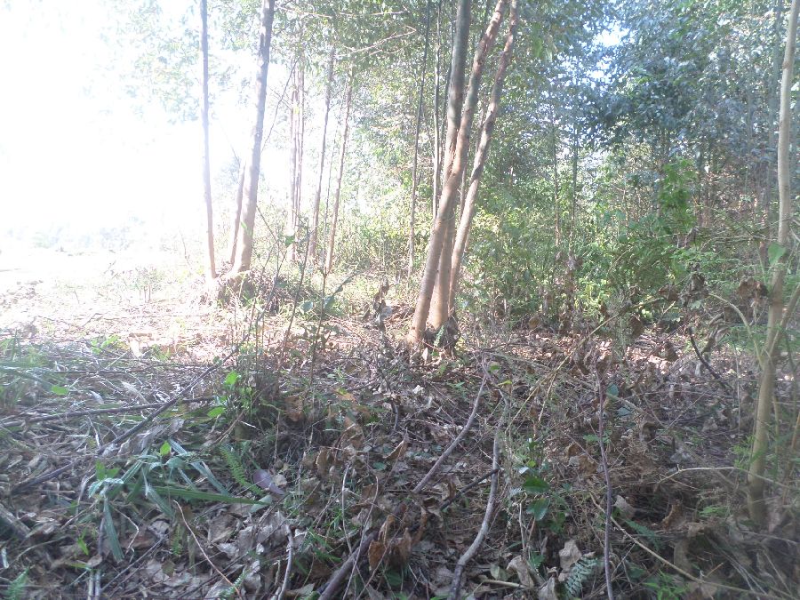 Chácara em Bocaiuva - Chacara Limeirinha Rio Abaixo
