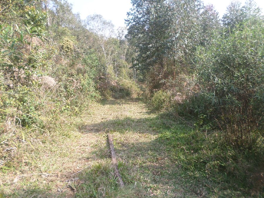 Chácara em Bocaiuva - Chacara Limeirinha Rio Abaixo