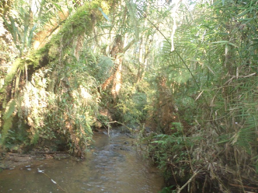 Chácara em Bocaiuva - Chacara Limeirinha Rio Abaixo