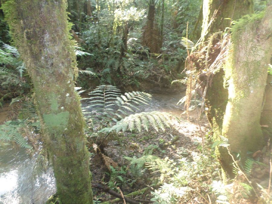 Chácara em Bocaiuva - Chacara Limeirinha Rio Abaixo