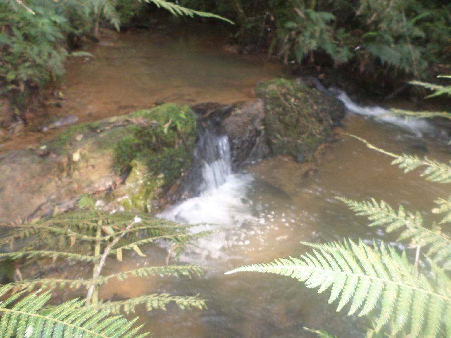 Chácara em Bocaiuva - Chacara Limeirinha Rio Abaixo