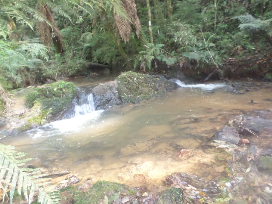 Chácara em Bocaiuva - Chacara Limeirinha Rio Abaixo