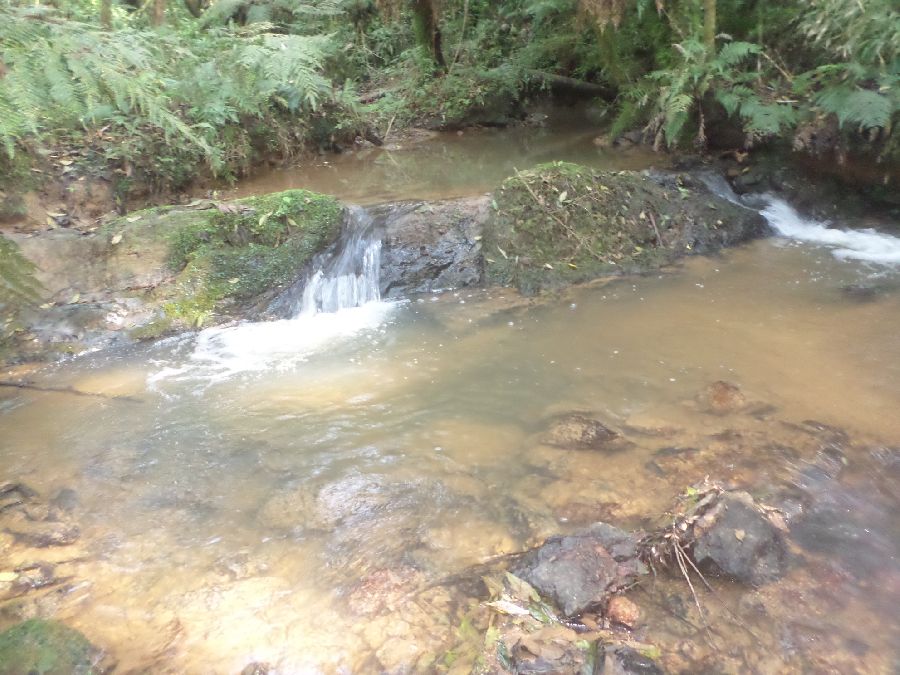 Chácara em Bocaiuva - Chacara Limeirinha Rio Abaixo