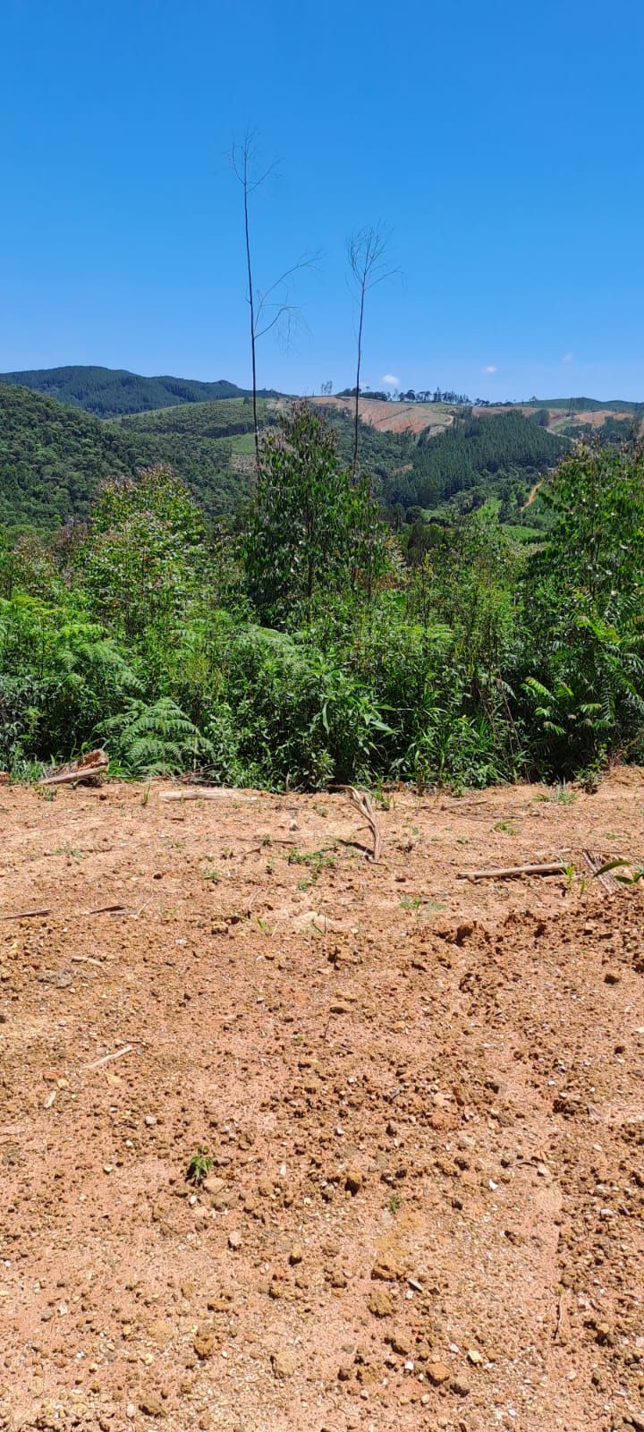 Chácara em Bocaiuva - Chacara Sao Jose 