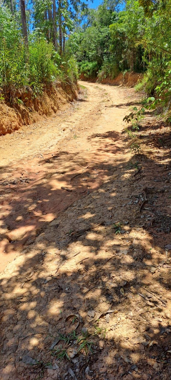 Chácara em Bocaiuva - Chacara Sao Jose 