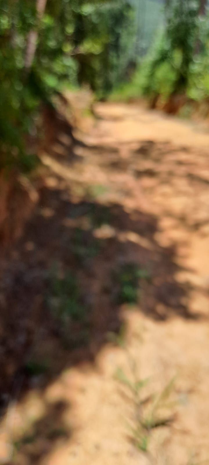 Chácara em Bocaiuva - Chacara Sao Jose 