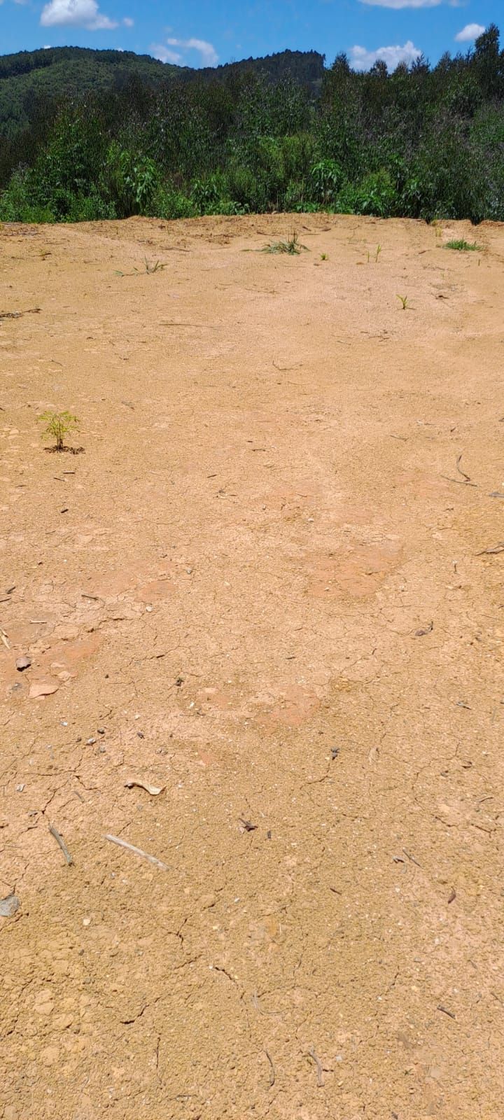 Chácara em Bocaiuva - Chacara Sao Jose 